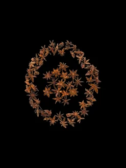 Søstrene Grene Dekorative Anisfrø