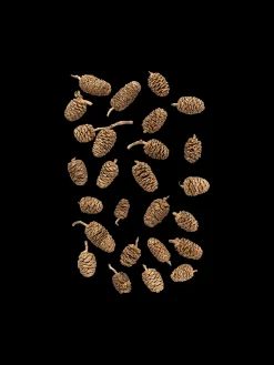 Søstrene Grene Dekorative Kogler