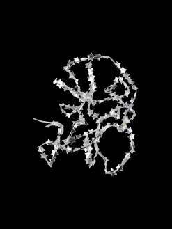 Søstrene Grene LED-stjernelyskæde