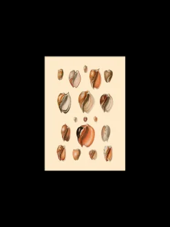 Søstrene Grene Plakat 15 X 21