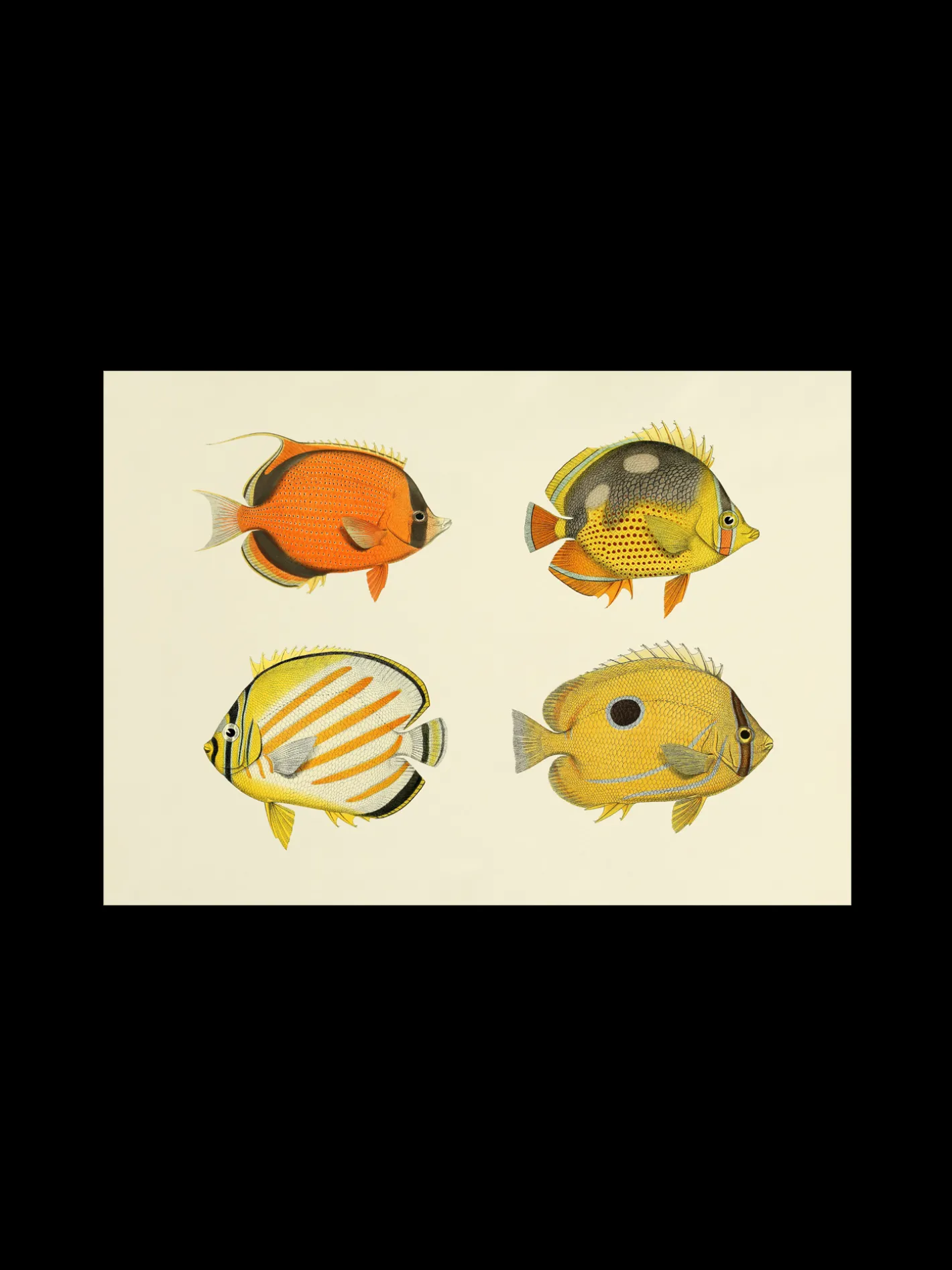 Søstrene Grene Plakat A3