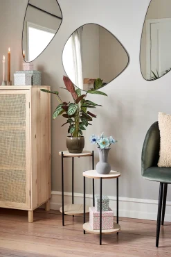 Søstrene Grene Planteopsats