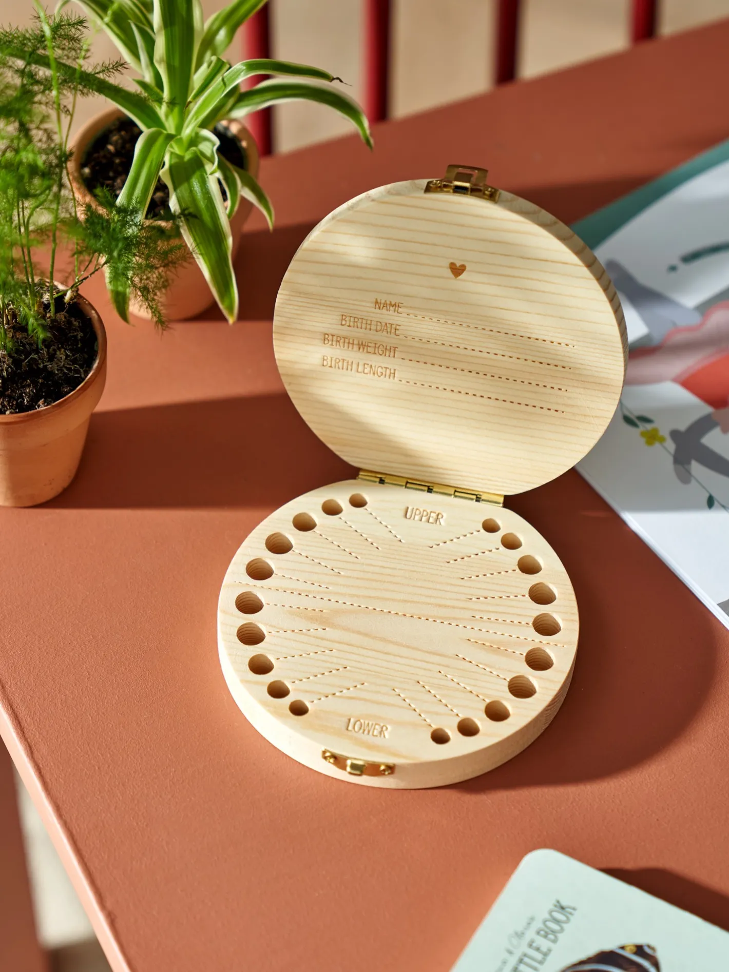 Børn Søstrene Grene Tandæske