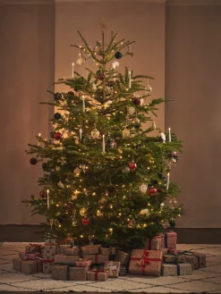 Søstrene Grene Topstjerne