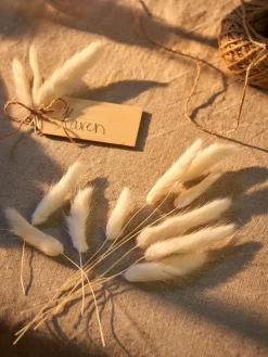 Søstrene Grene Tørret Harehalegræs Til DIY