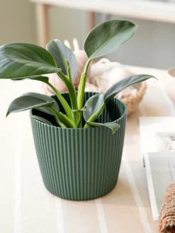 Søstrene Grene Urtepotte Milly Ø16,9 Cm