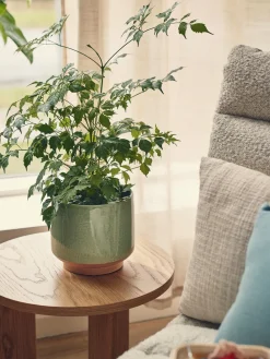 Søstrene Grene Urtepotteskjuler